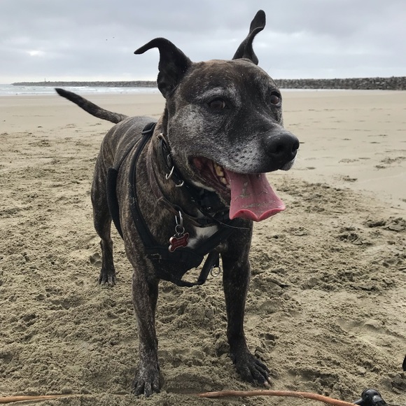 Meet your Posher, Lisa - Picture 12 of 13